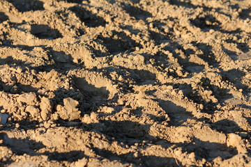 Dry soil mixed with fine sand and dirt at local construction site with clearly visible heavy machinery tracks texture wallpaper background at sunset on warm sunny summer day