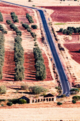 Herd in the fields next to the road in Alhambra