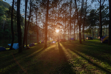 Camping,Adventures Camping and tent under the pine forest near water outdoor in morning and sunset at Pang-ung, pine forest park , Mae Hong Son, North of Thailand, forest background. Concept Travel