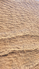 Small waves gently lap the sandy shore in this golden, textured beach pattern.