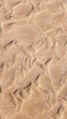 Wave sculpted ripples in the golden sand on this perfectly patterned beach.