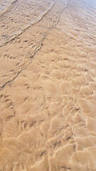 Small waves gently lap the sandy shore in this golden, textured beach pattern.