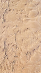 Small waves gently lap the sandy shore in this golden, textured beach pattern.