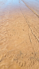 Small waves gently lap the sandy shore in this golden, textured beach pattern.
