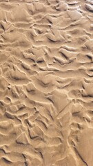 Wave sculpted ripples in the golden sand on this perfectly patterned beach.