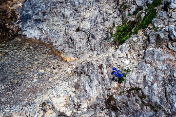 Eastern Dolomites. Sappada, Olbe Lakes. Breathtaking view of the upper Montrgna.