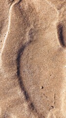 A close up of wave sculpted ripples in the golden sand on this perfectly patterned beach.