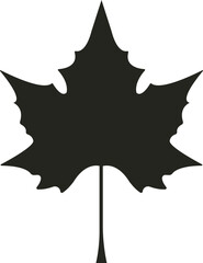 A captivating leaf vector, intricately detailed with delicate veins and vibrant hues, evoking nature's beauty.