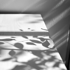 Monochrome shadows on tabletop suggest calm, minimalism.