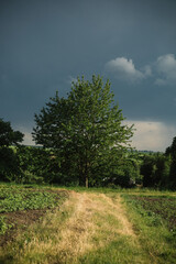 Obraz premium storm clouds before the storm in the village