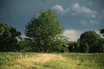 Obraz premium storm clouds before the storm in the village