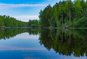Obraz premium lake in the forest