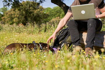 digital nomad, unrecognizable young Caucasian working with his laptop sitting in the forest,...