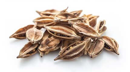 Dried Siamese neem tree seeds, isolated on white, used in health remedies