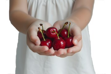 hand holding cherries  fruit transparent background, PNG file