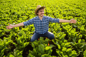 Portrait of happy farmer who is cultivating spinach.