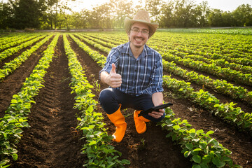 Portrait of happy farmer who is cultivating soybean.