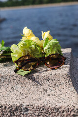 photo of sunglasses and white flowers on a stone