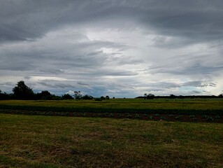 Fototapeta premium Beautiful landscape in a field with grass and other crops. Cloudy blue sky with storm clouds.