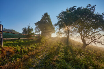 Obraz premium Fresh green scene of mountain farmland with old country road. Exciting summer view of Carpathian mountains, Ukraine, Europe.