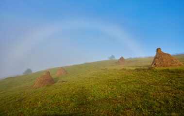 Rare-white rainbow. You can see when specific lighting in the morning or evening