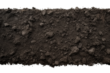 The Earths Whisper on a White or Clear Surface PNG Transparent Background.