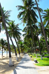 
Nha Trang city, Vietnam - October 15, 2023 : Overlooking the beautiful coast of Nha Trang with palm trees on the beach with deck chair and parasol. Beautiful white sand tropical beach in coastal city