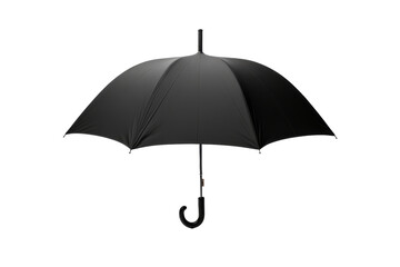 Shadows Dance Underneath the Midnight Canopy on a White or Clear Surface PNG Transparent Background.