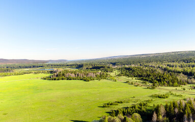 Aerial view of the forest and fields with green grass. Sunny nice summer day