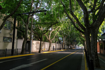 Green natural park at the center of megapolis Shanghai city
