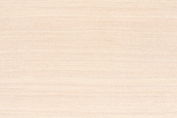 Plywood texture background, wooden surface in natural pattern for design art work.