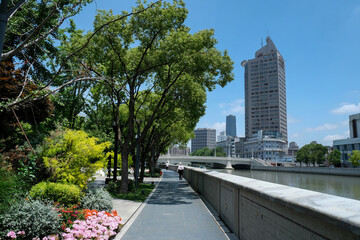 View of skyscrapers and plants and flowers in the garden, Shanghai city