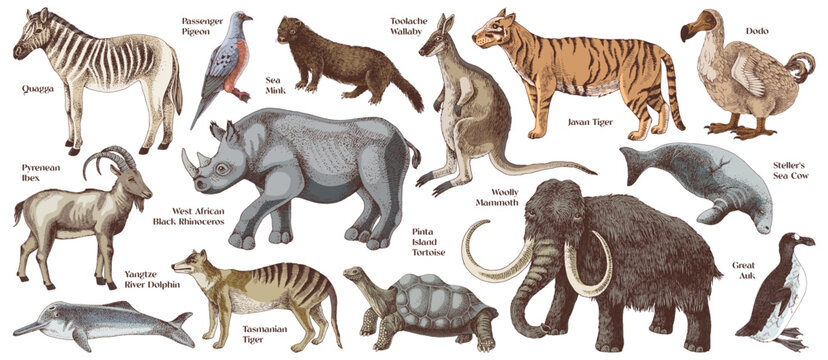 Set of hand drawn extinct animals