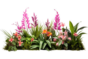 Blossoms in Bloom: A Symphony of Colors on a White or Clear Surface PNG Transparent Background.