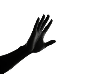 Fototapeta premium Dancing Shadows on a White or Clear Surface PNG Transparent Background.