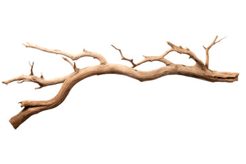 Solitude In Silence on a White or Clear Surface PNG Transparent Background.