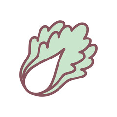 Cute chinese cabbage icon. Hand drawn illustration of a peking cabbage head isolated on a white background. Vector 10 EPS.
