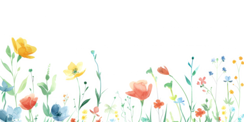 collection of plant based magical effects, instant flowers blooming and fast growing vines on a white background.