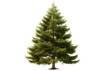 Solitude of the Whispering Pine on a White or Clear Surface PNG Transparent Background.