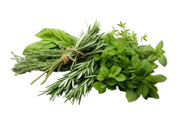 Whispers of Nature: A Bountiful Bouquet of Fresh Herbs on a White or Clear Surface PNG Transparent Background.