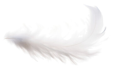 Ethereal Dance of the White Feather on a White or Clear Surface PNG Transparent Background.
