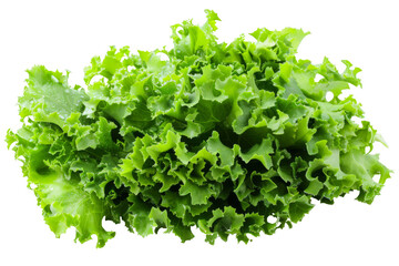 A bunch of green lettuce is on a white background