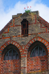 Hausgiebel mit Wildwuchs