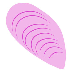 Violet mussel seashell