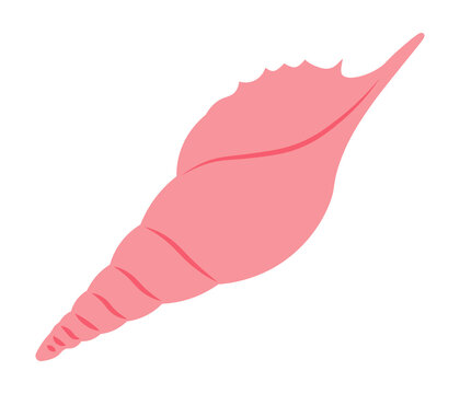 Red spiral seashell