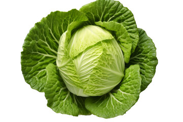 Obraz premium The Majestic Cabbage Crown on a White or Clear Surface PNG Transparent Background..