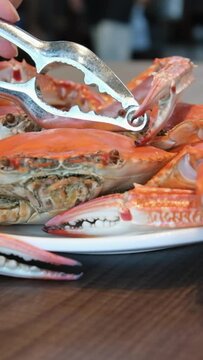 Stone crab cutter with seafood knives, shellfish knives made of aluminum and stainless steel, set Seafood Tools, Lobster, Crab, Cracker, Gadgets, Cooking Tools, Claws, Sheller. Kitchen Accessories