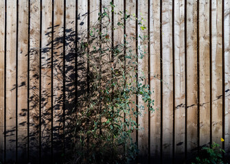 Glasgow, Scotland, United Kingdom