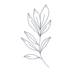 Aesthetic decorative line art illustration of leaf floral on a white background