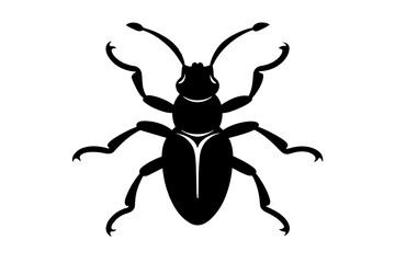 bombardier beetle silhouette vector illustration